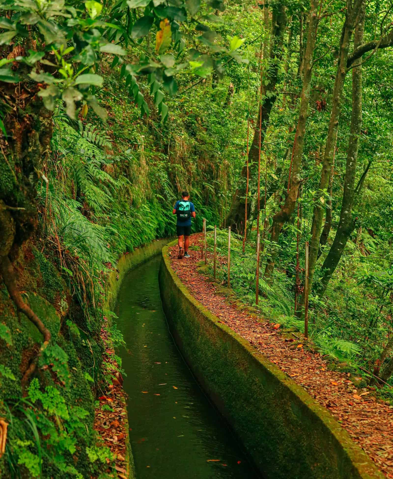 Madeira-Portugal-Levada-Trails