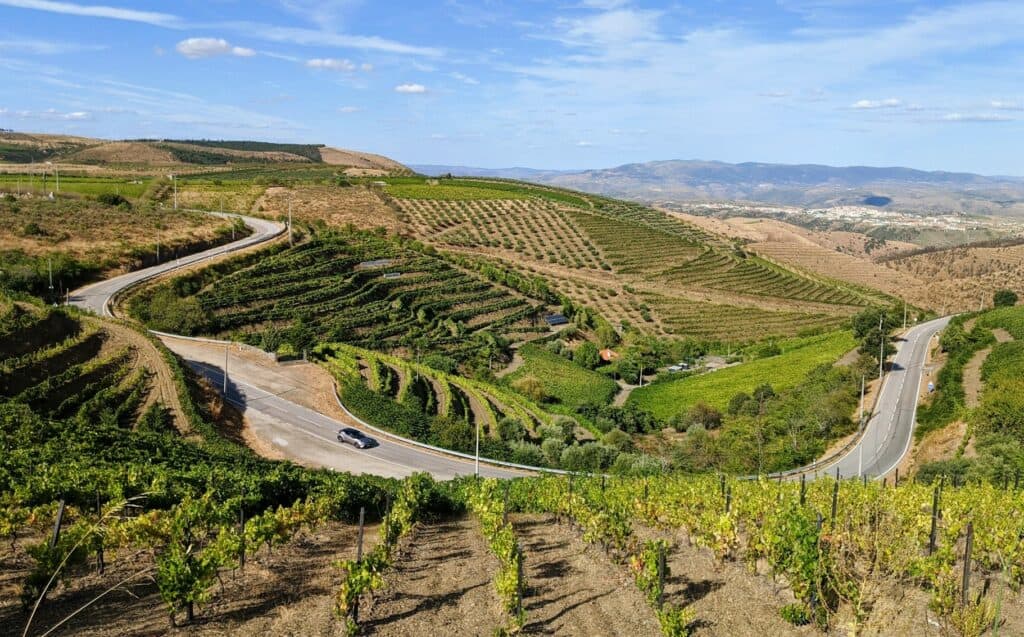 שדות כרמים ירוקים בגבעות פורטוגל, נופים מרהיבים וקווי כבישים מתפתלים באיזור פורטוגל.