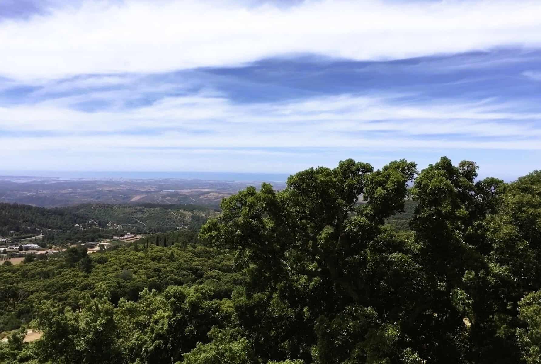 Monchique-Algarve-Portugal-mountain-forest-sea